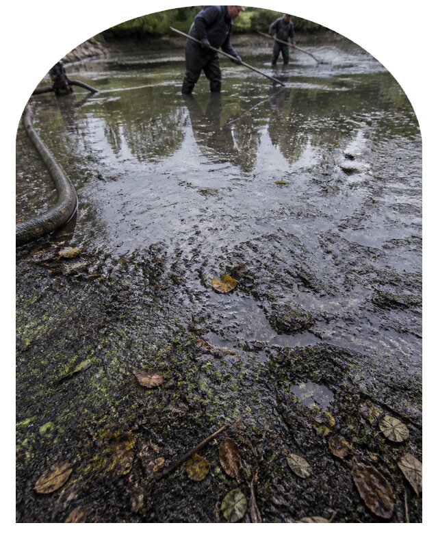 Очистка пруда в Амурске от ила мусора и водорослей с вывозом